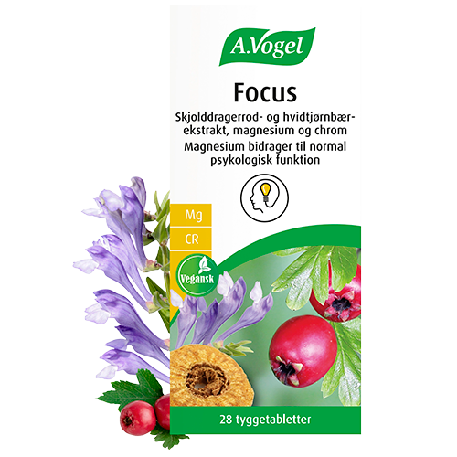 Se A. Vogel Focus (28 tabl) hos Well.dk