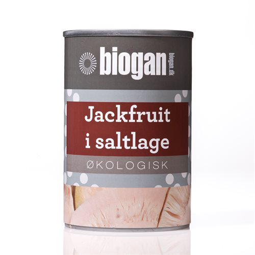 Billede af Biogan Jackfruit Ø (400 g) hos Well.dk