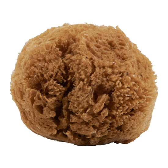 meraki mini natural sponge brown