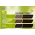 Schwarzkopf Natural & Easy 580 Velvet Dark Brown