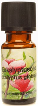 Eukalyptus Olie Æterisk (100 ml)
